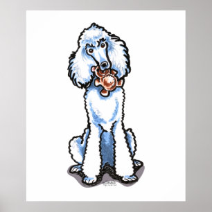 White Standard Pudel Nalle Poster