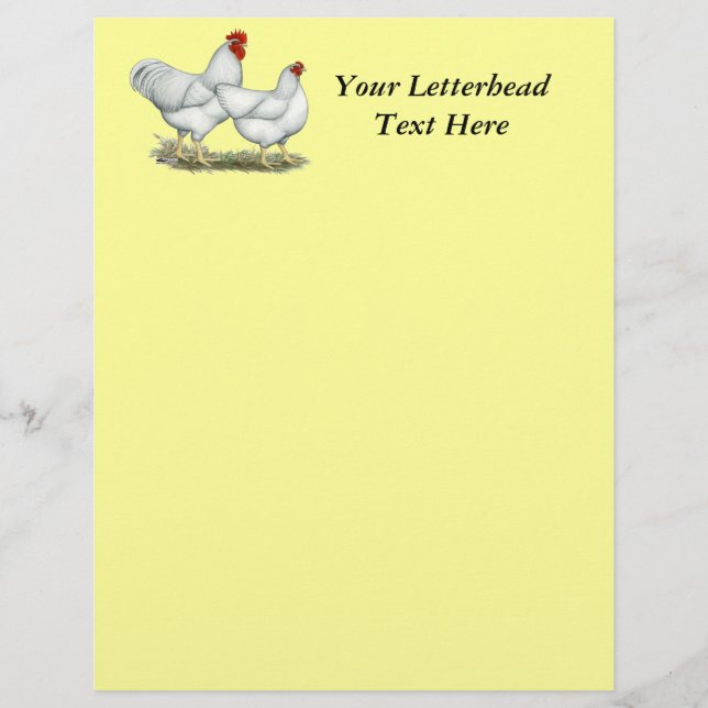 White Sten Chickens (Framsida)