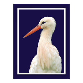 White Stork Photo Wall Art Fototryck