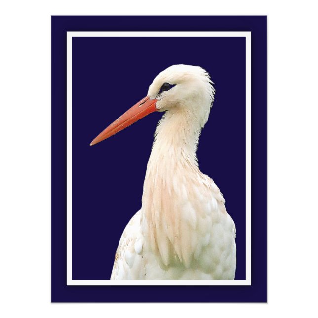 White Stork Photo Wall Art Fototryck (Framsidan)