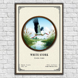 White Stork Zoology Series Poster