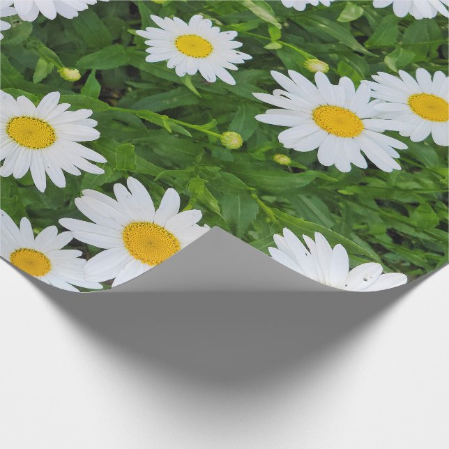 White Summer Daisy Garden Presentpapper (Hörn)