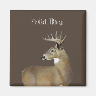 White Svan Buck Magnet