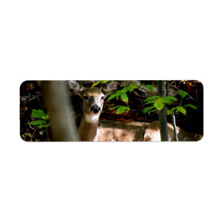 White Svan Doe Returadress Etikett