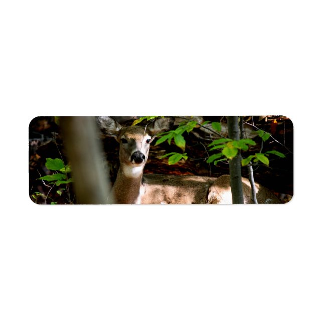 White Svan Doe Returadress Etikett (Framsidan)