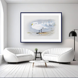 White svan, fågelillustration poster