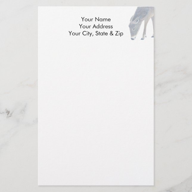 White Svan Hjort Brevpapper (Framsida)