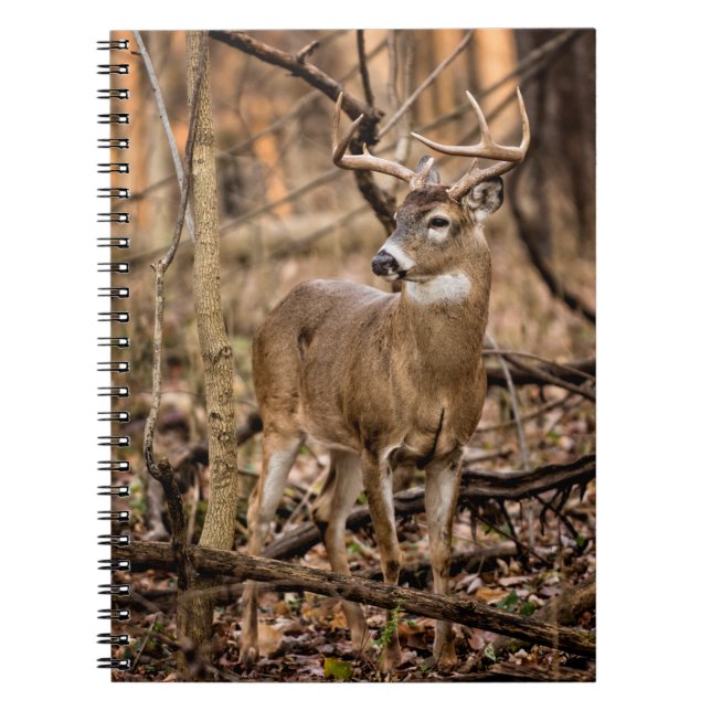 White Svan Hjort Buck Anteckningsbok (Framsidan)