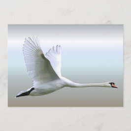 White Svan på Fullt Flight