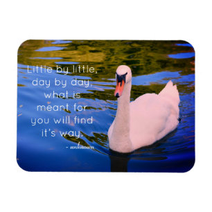 White Svan Photo med Motiveringsoffert Magnet