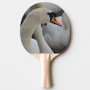 White Svan Ping Pong Paddle, Rödgummi, rygg Pingisracket