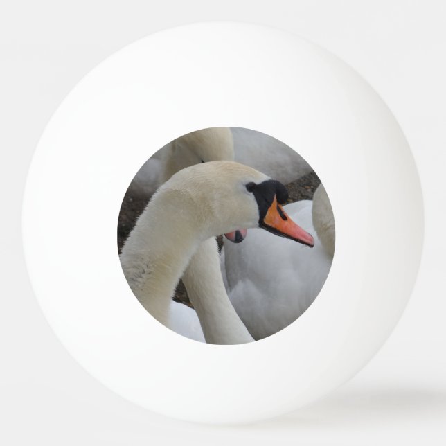 White Svan Three Star Ping Pong Boll (Framsidan)