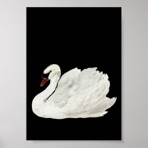 White Svan Vintage Art Poster