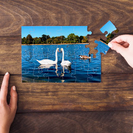White svanar i Round Pond Kensington Gardens Pussel