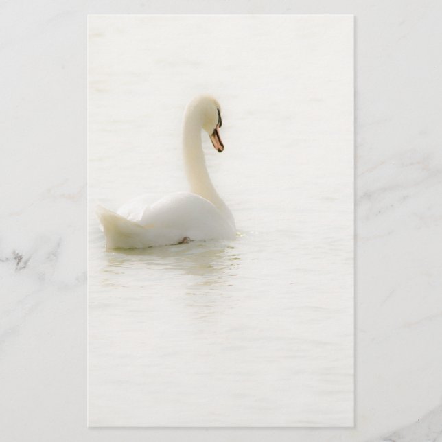 white swan brevpapper (Framsida)