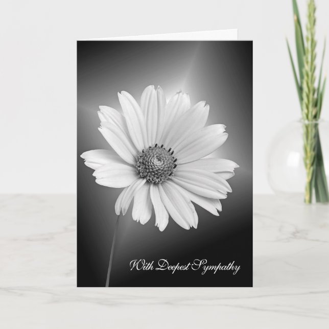 White Sympathy Daisy on Black Kort (Framsida)