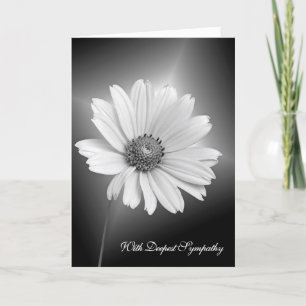 White Sympathy Daisy on Black Kort