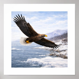 White-tailed Eagle (Haliaeetus albicilla) –  Poster