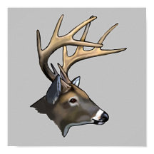 White-Tails Bäste Buck Teckning