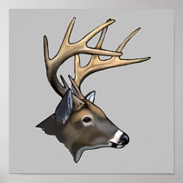 White-Tails Bäste Buck Teckning Poster