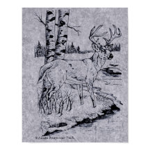 White Tails Buck Hjort Bläck Teckning Bäck