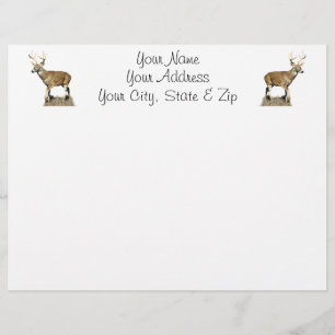 White Tails Hjort Buck