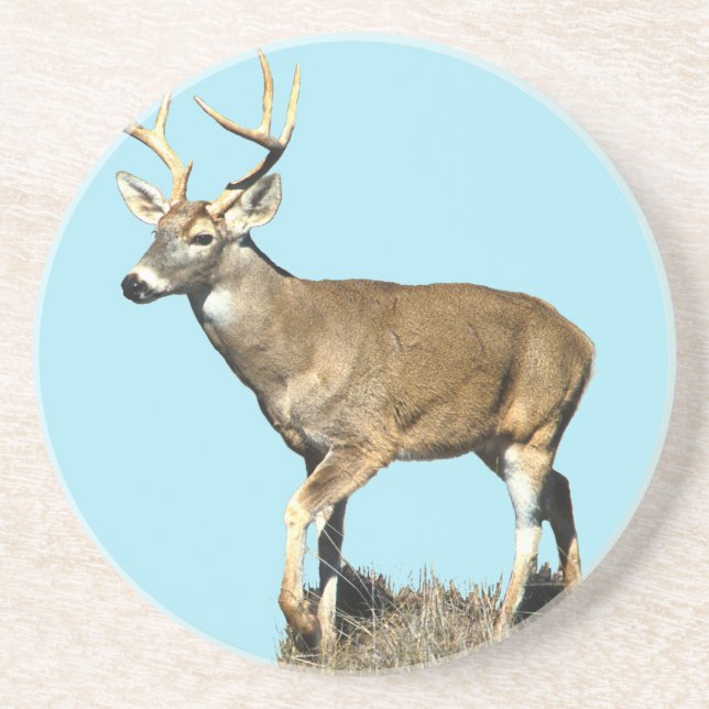 White Tails Hjort Buck Underlägg (Framsidan)