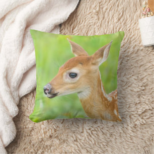 White-Tails Hjort Fawn Minnesota Kudde