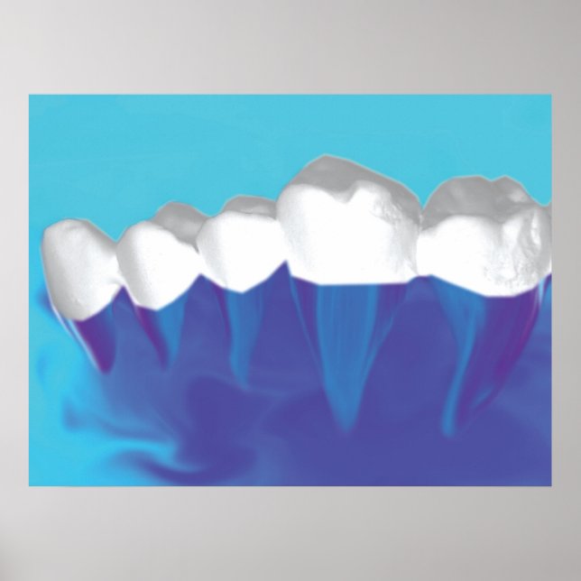 White Teeth Design Dentist Orthodontist Poster (Framsidan)