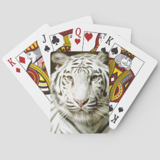 White Tiger Ansikte Spelkort