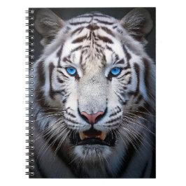 White Tiger Blue Öga Anteckningsbok
