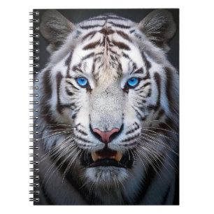 White Tiger Blue Öga Anteckningsbok