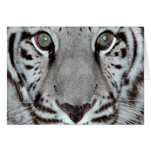 White Tiger Hälsningskort