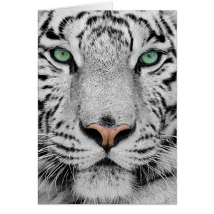 White Tiger Hälsningskort