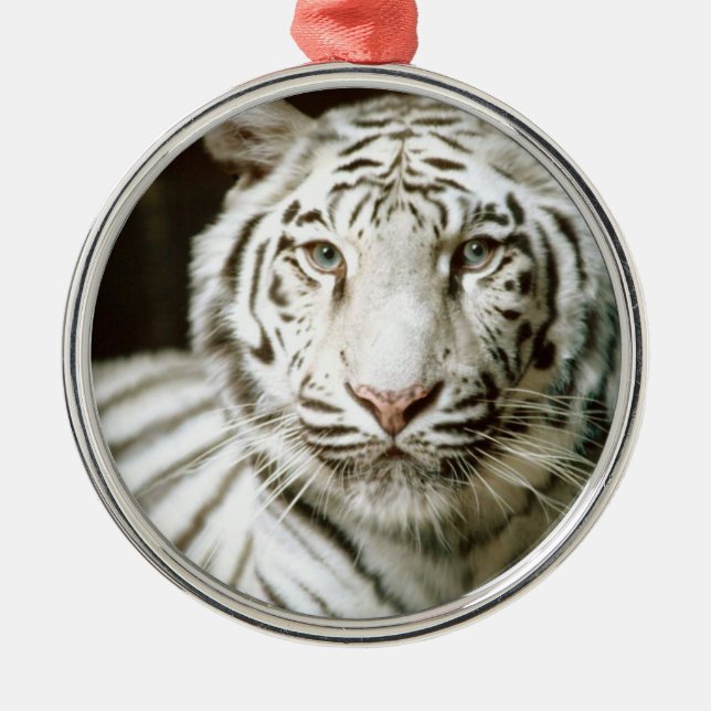 White Tiger Julgransprydnad Metall (Framsidan)
