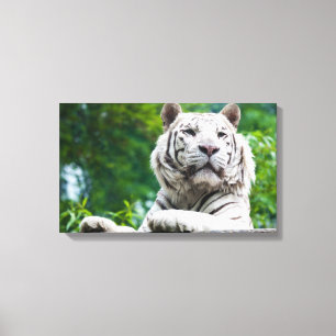 White Tiger kanvastryck