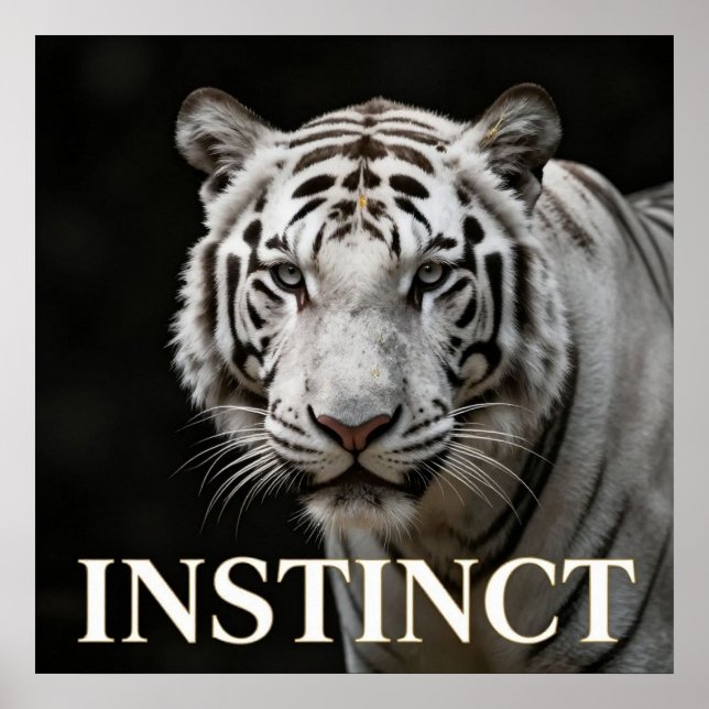 White Tiger Lyxmode Poster (Framsidan)