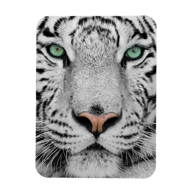 White Tiger Magnet (Vertikal)