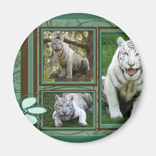 White Tiger Magnet (Framsidan)