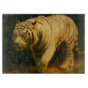 White Tiger Majesty - Stylized Wildlife Art Print