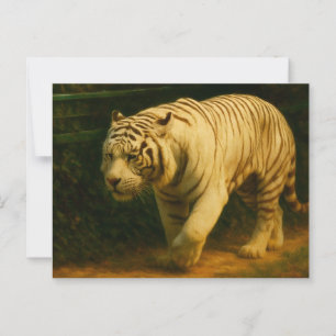 White Tiger Majesty - Stylized Wildlife Art Print Vykort