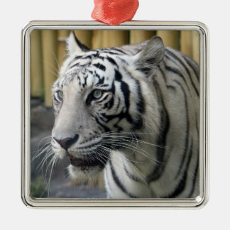 White Tiger Premium Ornament