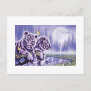 White Tiger Unge Vykort
