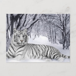 White TIger Vykort