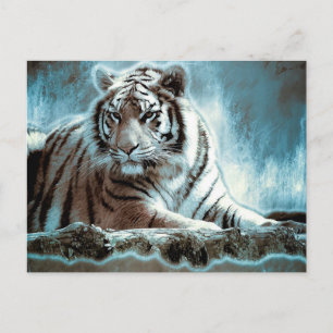 White Tiger Vykort