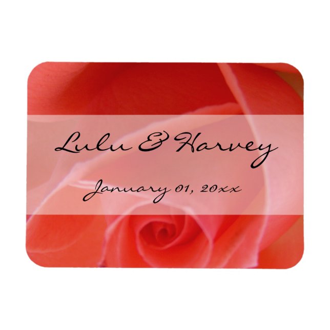 White Tipping Rosa ros Personal Bröllop Magnet (Horisontell)