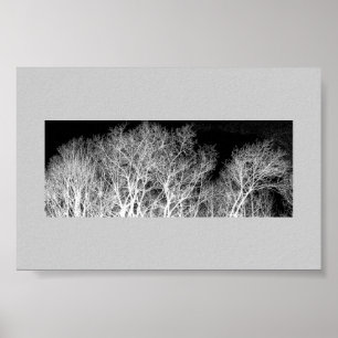 White Träd Poster