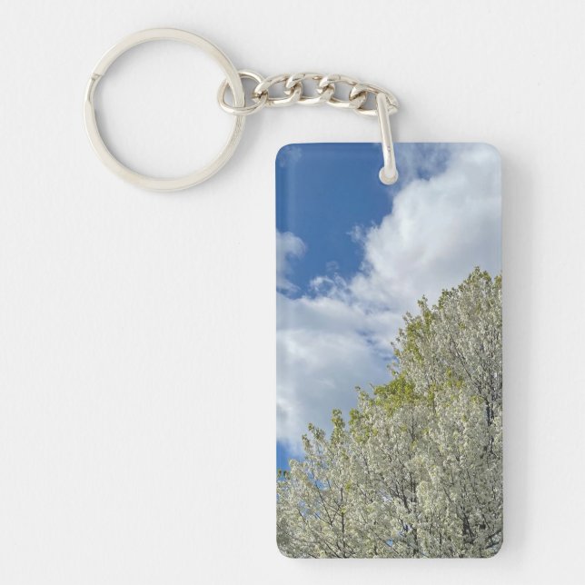 White Tree Blue Sky Clouds Photo (Framsidan)