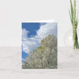 White Tree Blue Sky Clouds Photo Anteckningskort