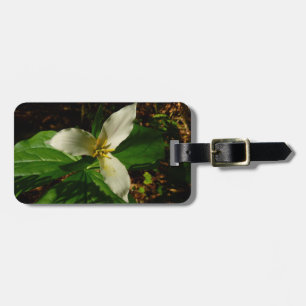White Trillium Flower Vår Wildblomma Bagagebricka